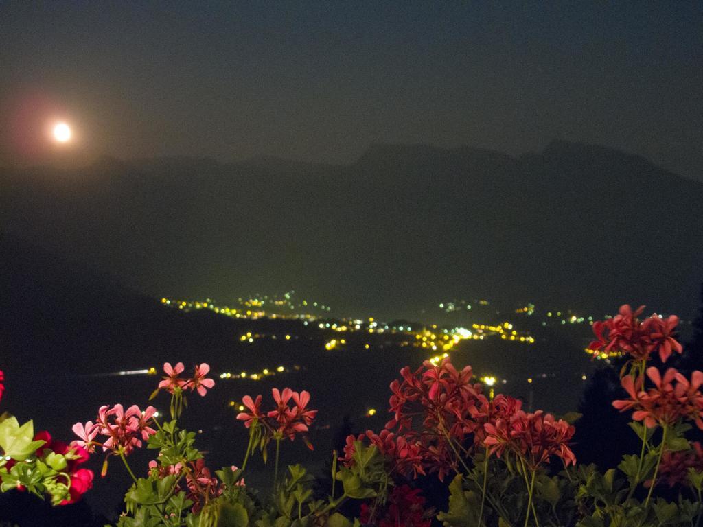 بيرجيني فالسويانا B&B Alba Sul Lago المظهر الخارجي الصورة